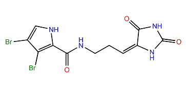 Nemoechine H